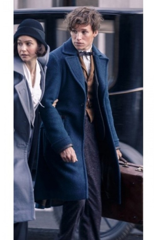 Watch 2016 Cinema Fantastic Beasts And Where To Find Them